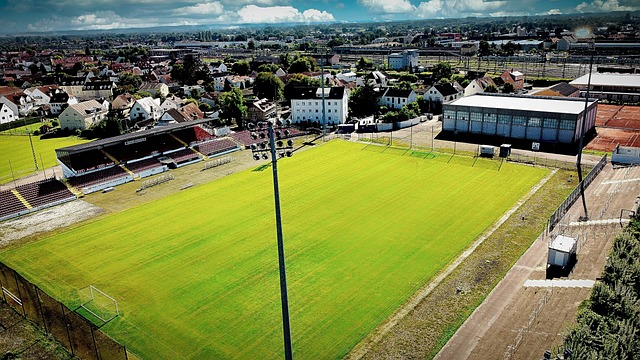 但其执教风 但其执教风