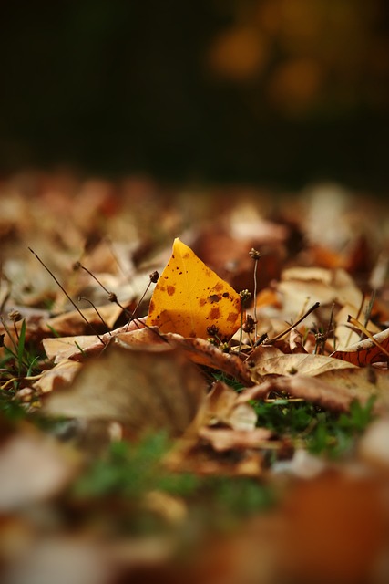 许多职业足 许多职业足