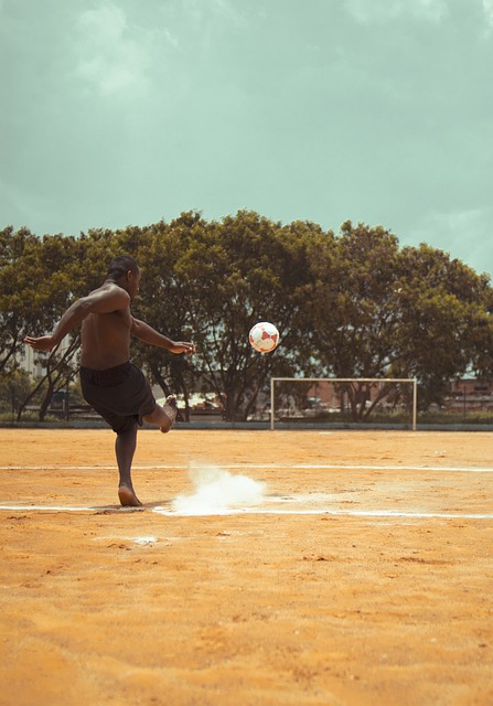 他们将继续 他们将继续