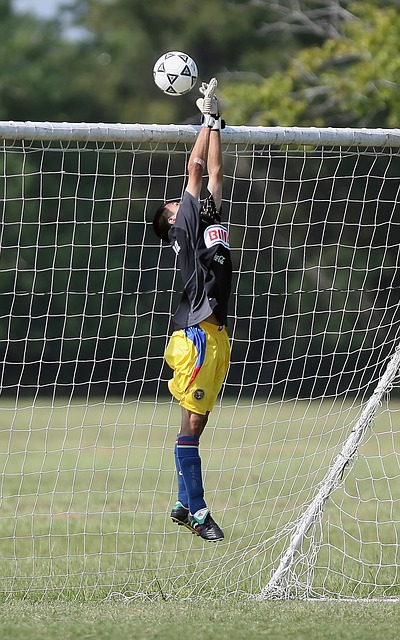 迷和運動界 迷和運動界