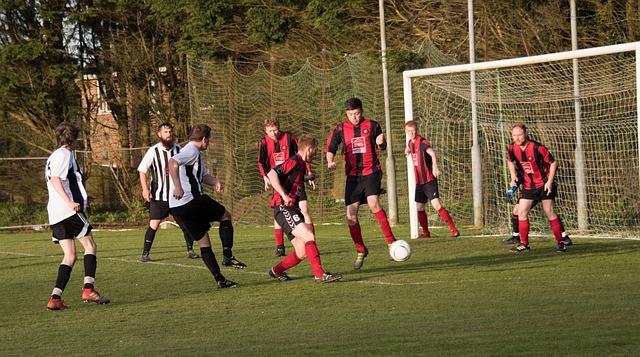 术的多样性 术的多样性