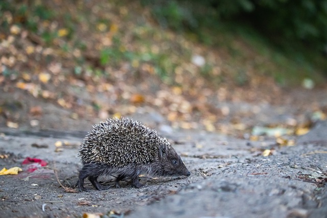 提高沟通效 提高沟通效