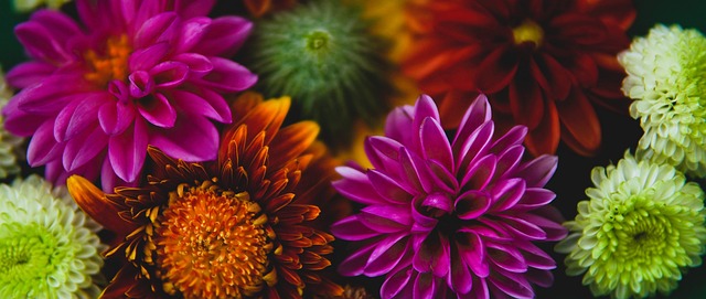 委内瑞拉1-0墨西哥两连胜提前晋级：龙东点射，皮内达点球被扑.