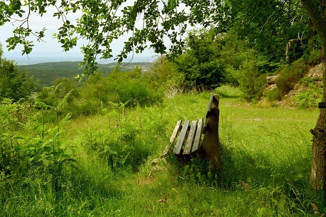 深化养老服务改革 养老机构分类管理 服务供给更加精准.