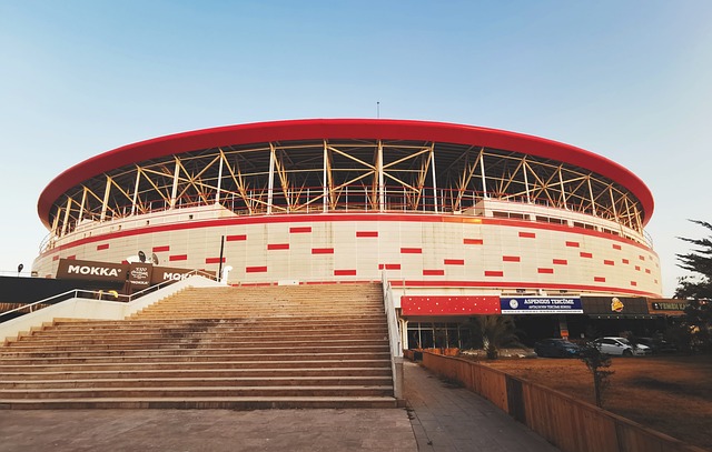 山东泰山队 山东泰山队