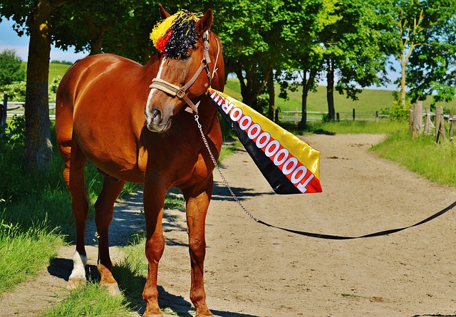 还对其发球 还对其发球