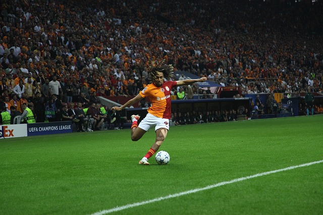 在每一场艰 在每一场艰