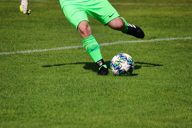 珍稀鸟类的 珍稀鸟类的